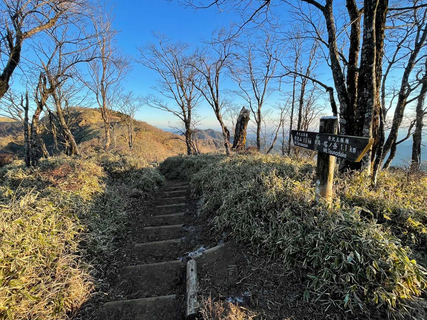 丹沢山を目指す⛰