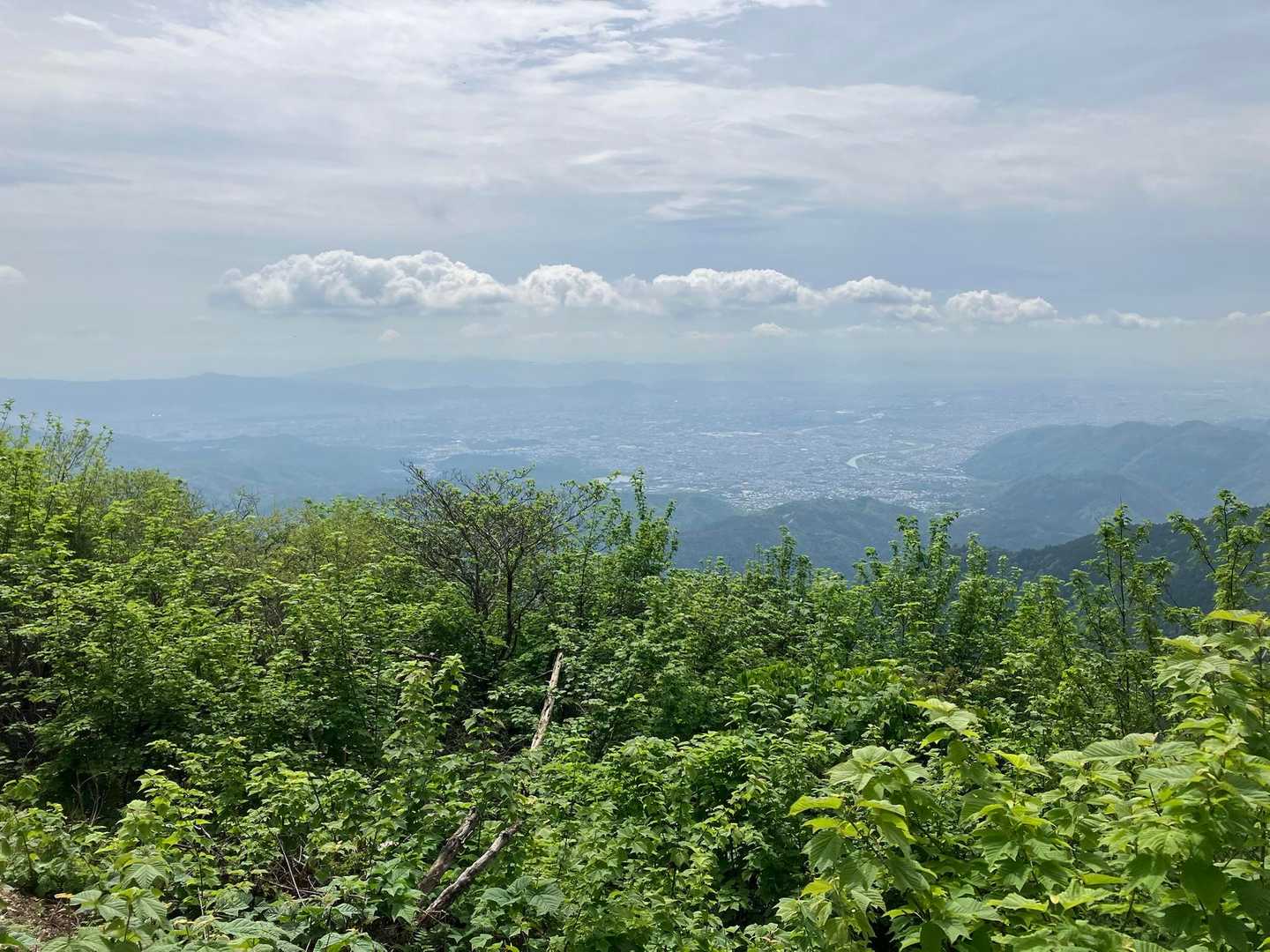 愛宕山 / Sukeko-papaさんの愛宕山・三頭山・朝日峯の活動データ | YAMAP / ヤマップ