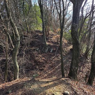 堀切を越えていく