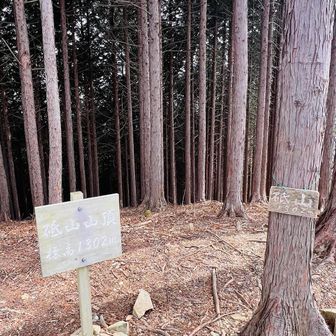 そこそこの急登を経て山頂
地味にキツイ