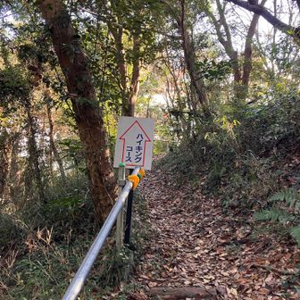 綺麗に整備されています