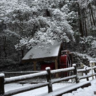 みんなが写真を撮るという水車も雪積もってる〜☃️テンションあがる⤴️