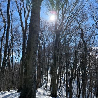 これがみたかった💖