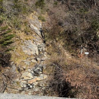 伊予富士登山口から下山。UFOラインを歩いて駐車場へ戻りました。