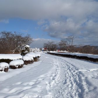 前回と同じ感じのお天気
