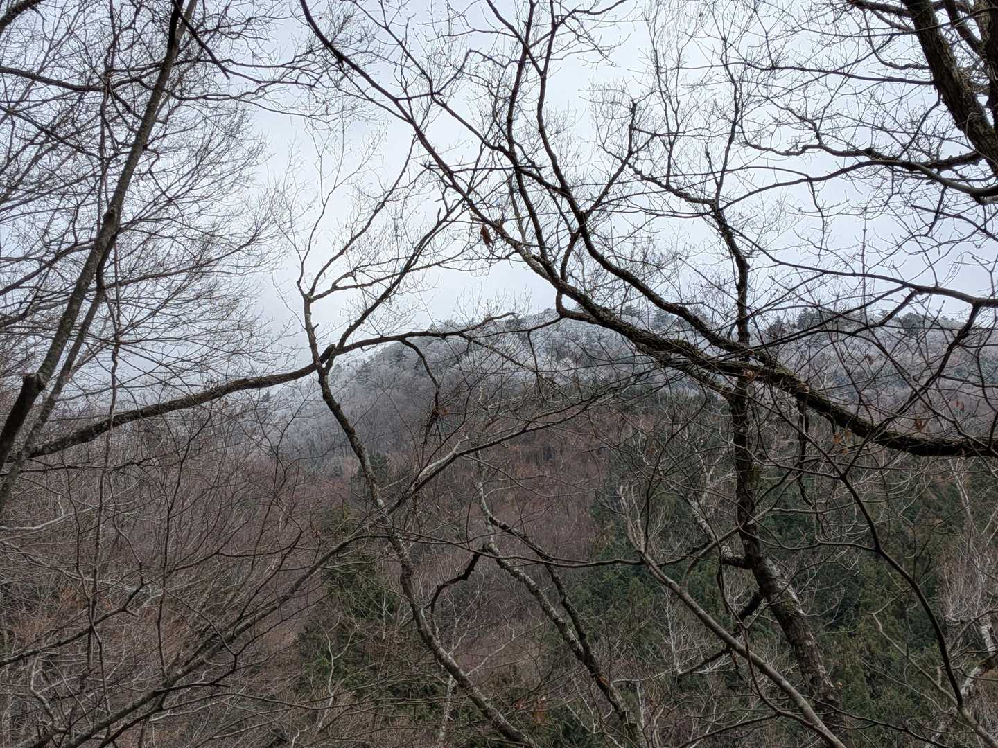 山の上部には霧氷✨