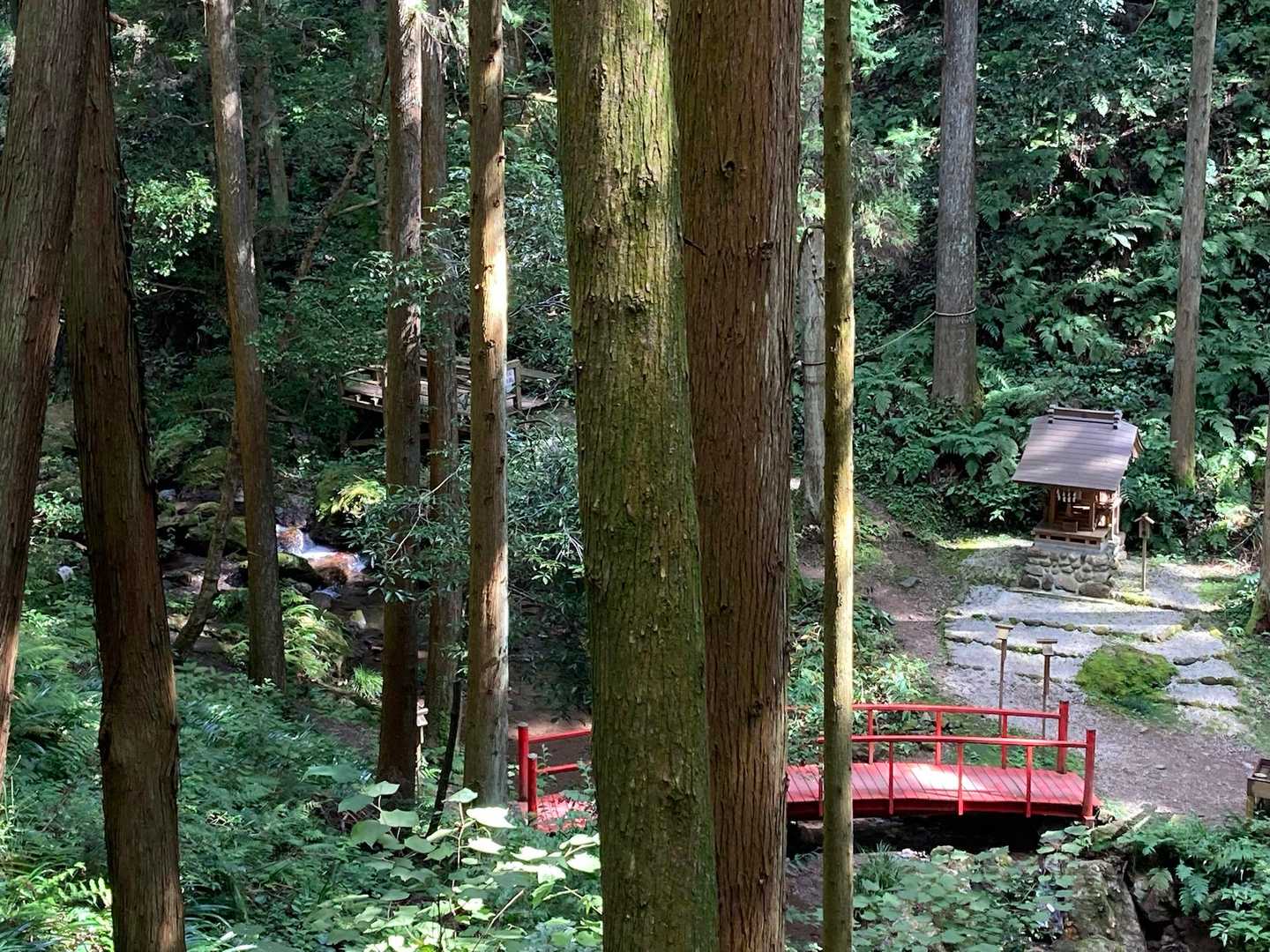 先を急ぐので
五条の滝は舗装路から