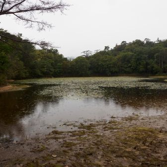 横池（雄池）