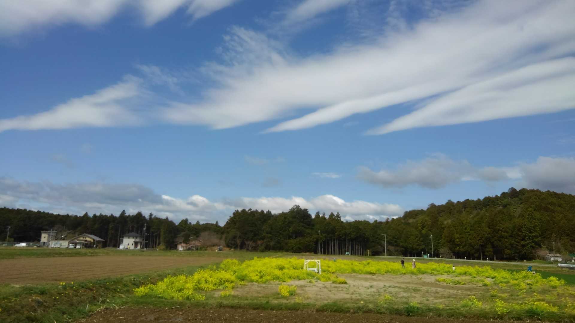 空も青いー🌤️