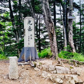 光岳山頂到着
の手前で耳元で大音量の羽音
アブ？ハチ？の大群に襲われてパニックに
怖くて写真一瞬撮って逃げてきた
光石行きたかったけど、あの怖い思いして行くのは無理