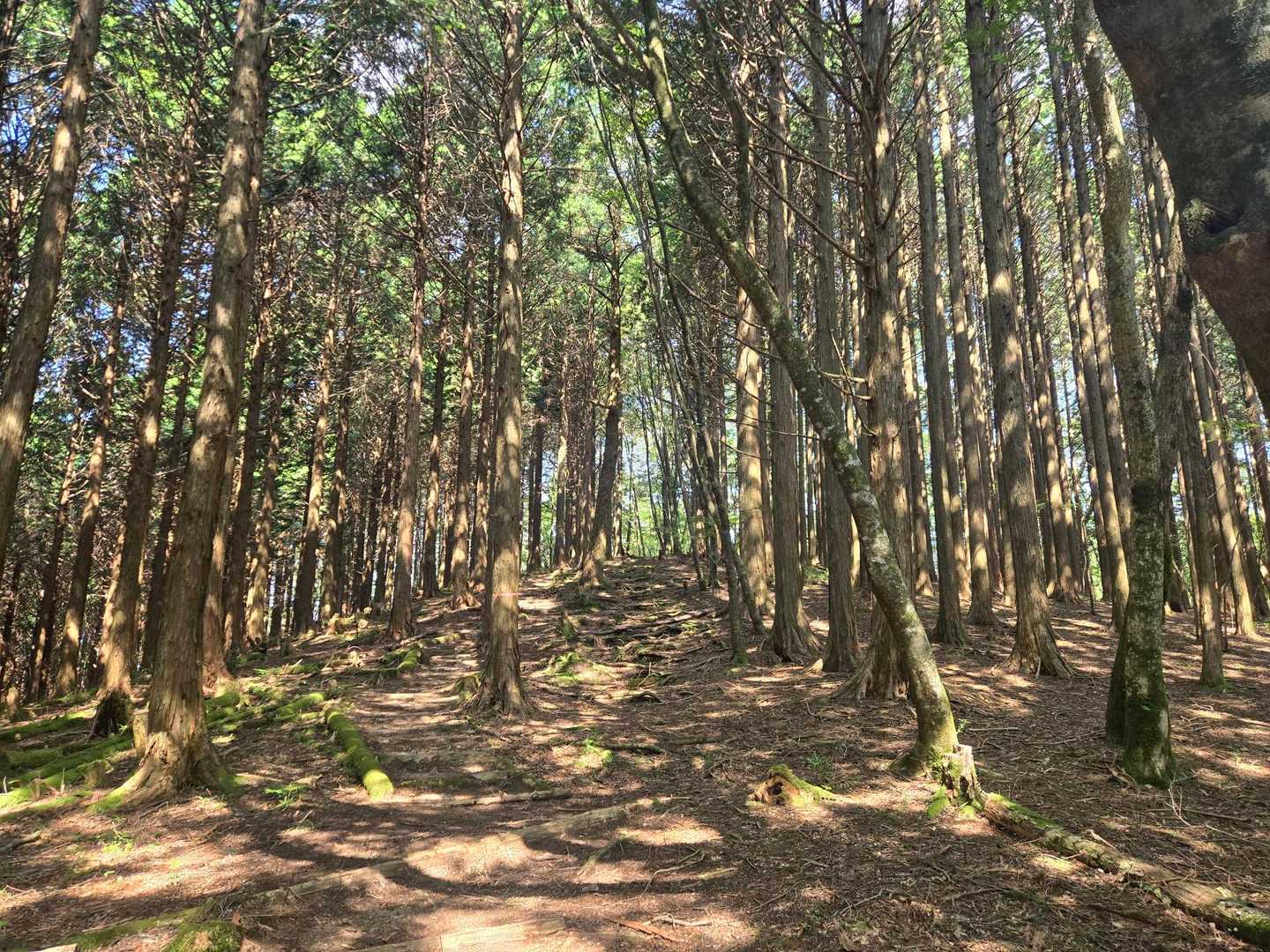 ここ数週間、体も心も忙しくて、