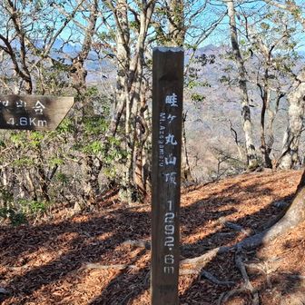 畦ヶ丸山頂到着。