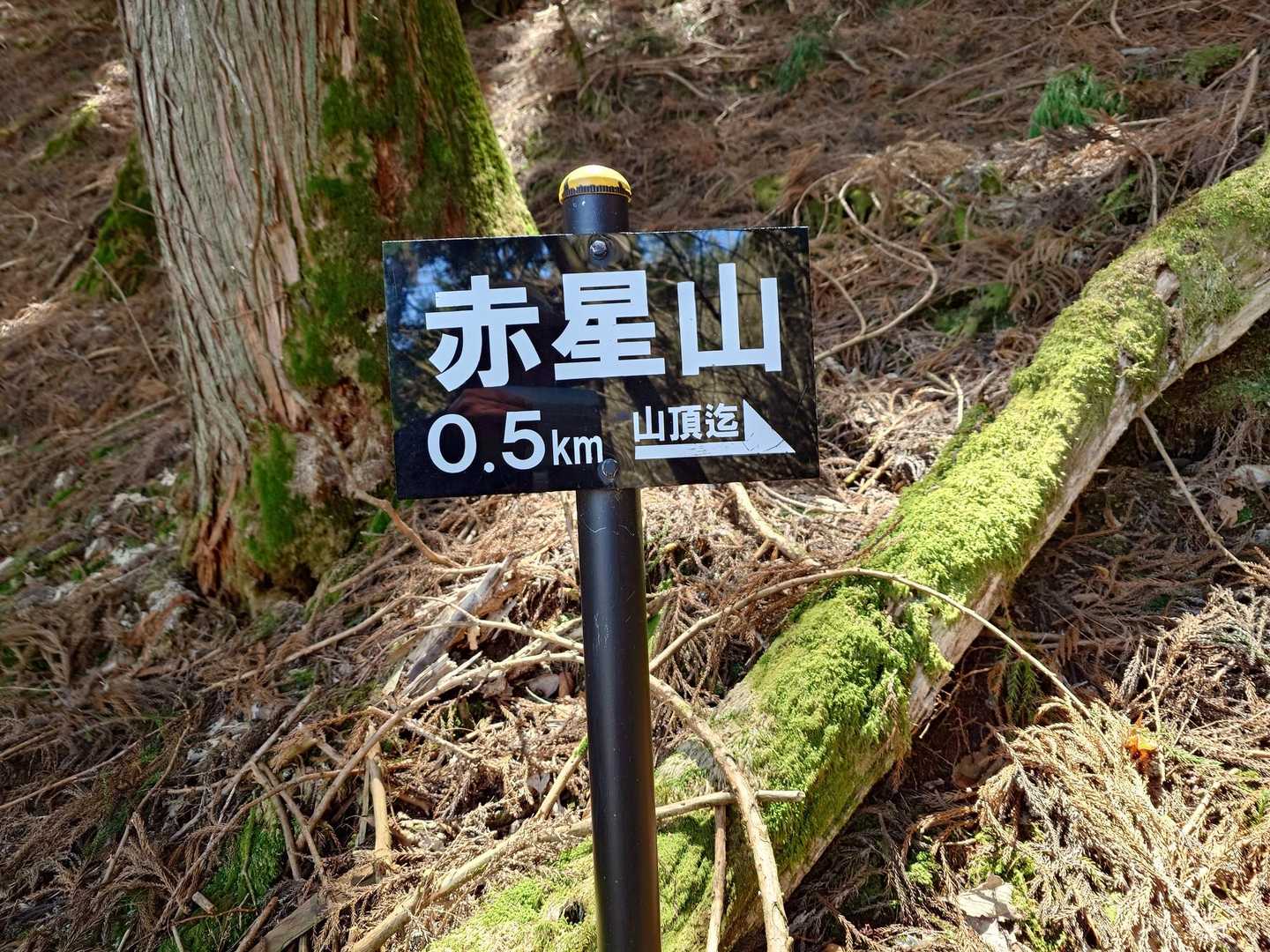 あと0.5
