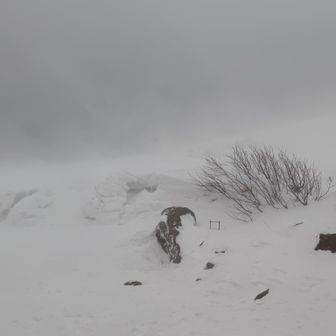 収まる気配なし
