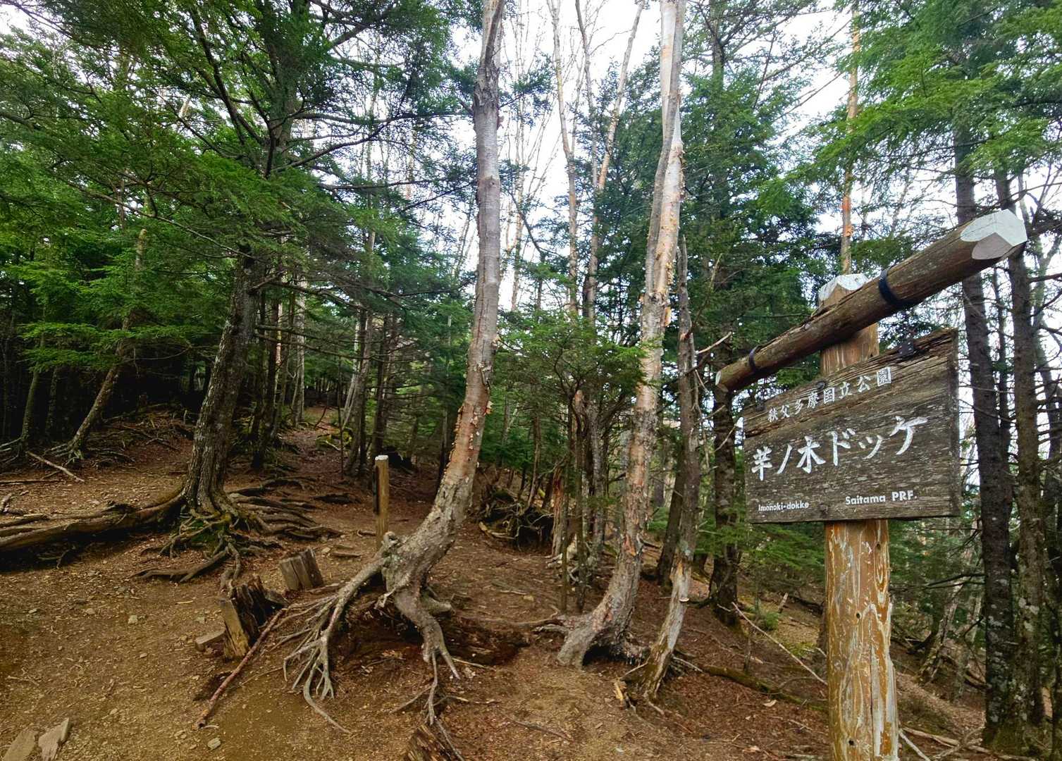 【芋ノ木ドッケ分岐】に到着