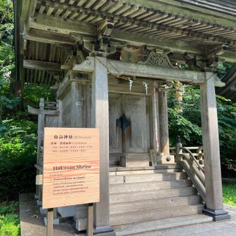 白山神社⛩️
ちゃんとククリ姫が祀られてました！