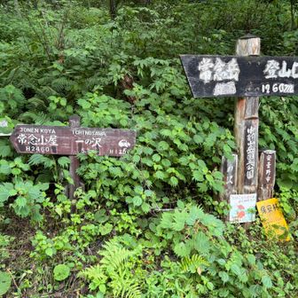 一の沢登山口に無事下山