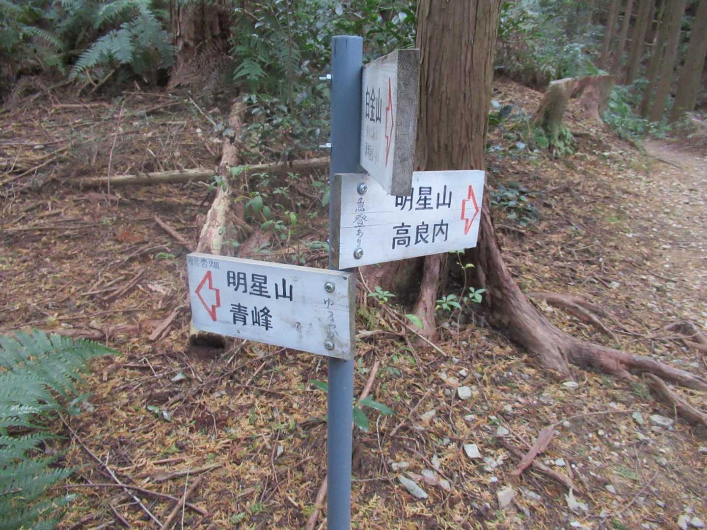 分岐。
ここは左手のゆるやかコースを😉