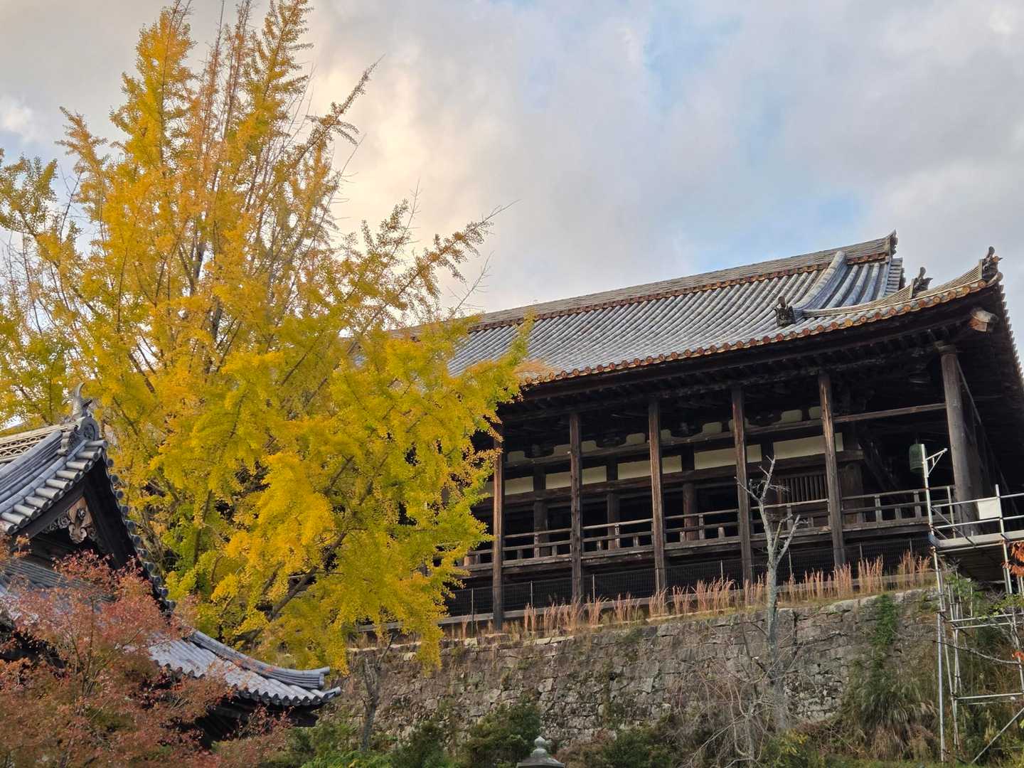 榧谷駅-獅子岩駅-弥山 周回コースの写真