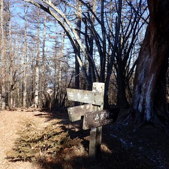 山伏峠からのコースもあるようです
