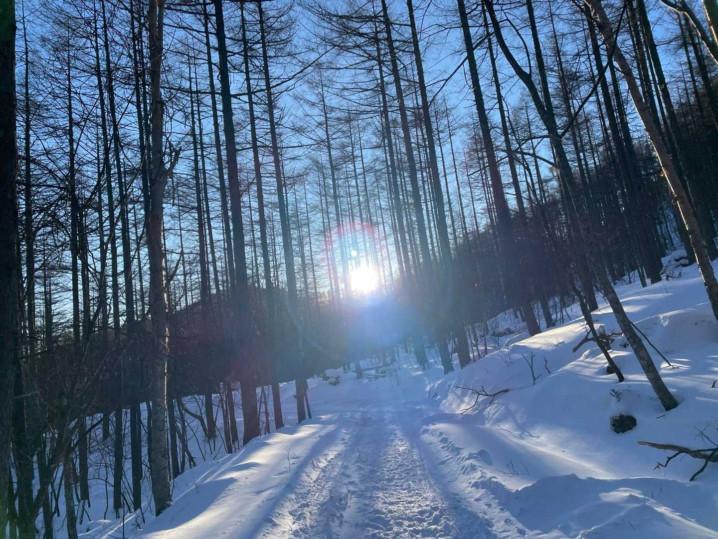 朝日を浴びながら向いますよ。