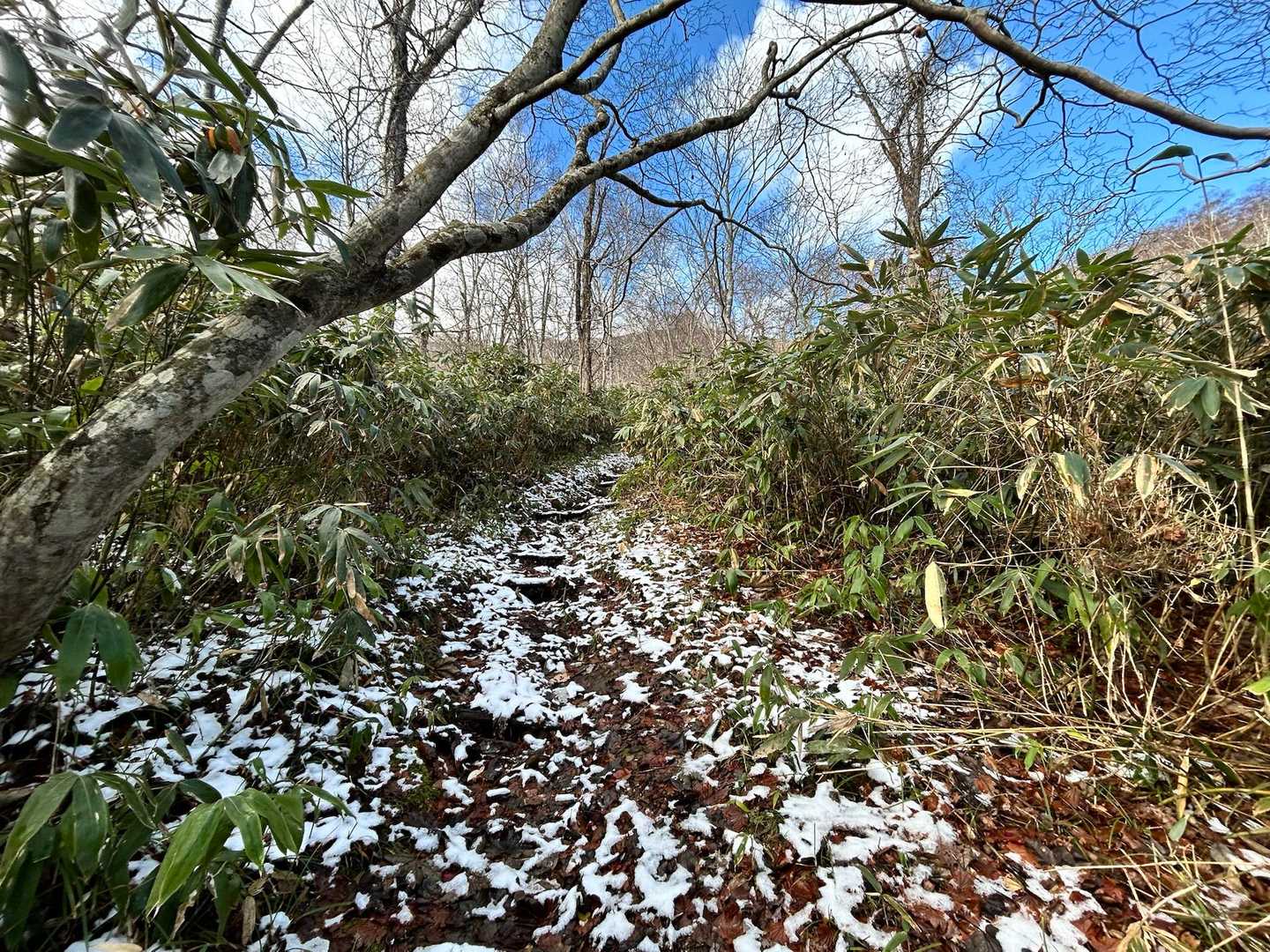 滑りやすさ増し増しです⚠️