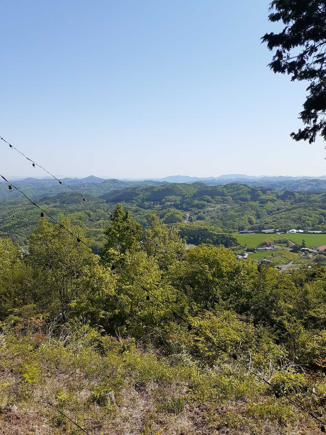 権現山（広島県神石郡神石高原町）の写真