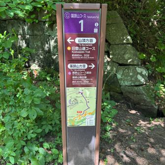 薬師山コース…行った事無いかも‼️