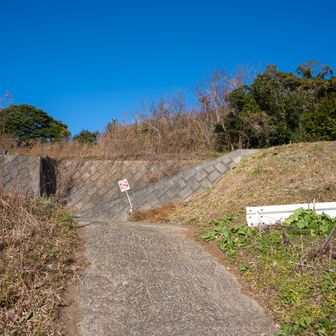 登りきったらコースは左
グレピの高山は右へピストン