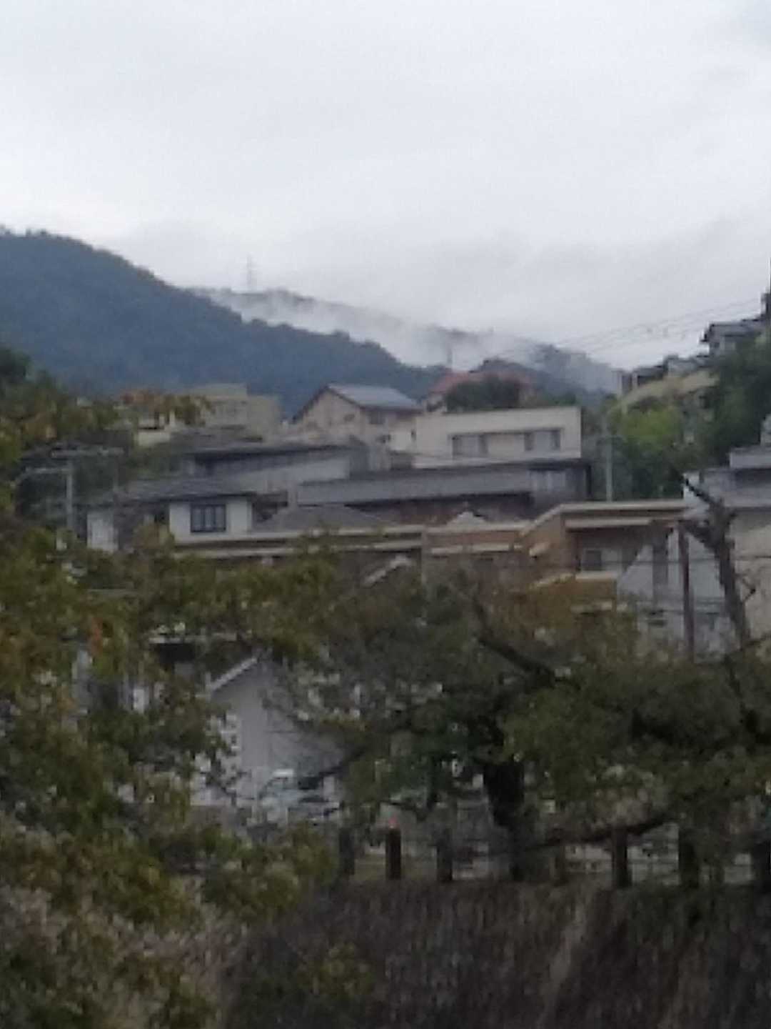 ゴロゴロ岳方面も、かなりガスが残ってました。