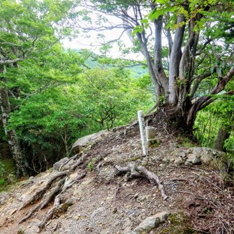 YAMAP上のピーク横平山