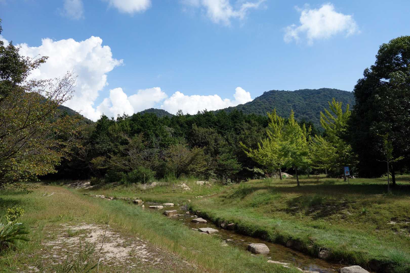 登ってきた「大海山」を見上げる