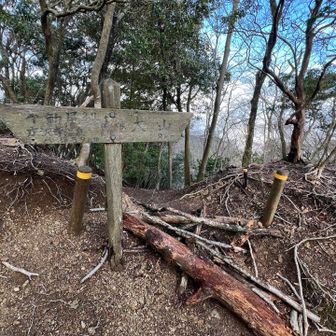 三峰山への縦走路に合流。古い道標には小さく「↑梅ノ木尾根」と書かれているが、足下には倒木でちょっとしたバリケードが作られている🙅‍♂️