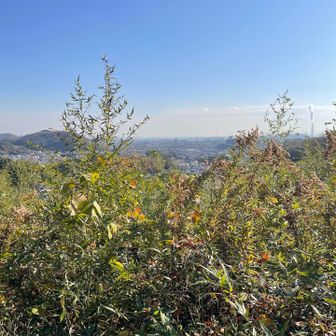 霞んで見えないが瀬戸内海