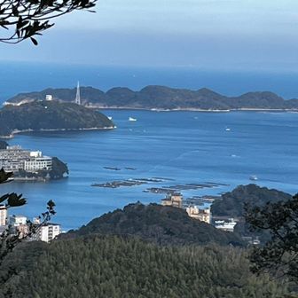 山頂からの展望
木の枝で見える範囲は狭い