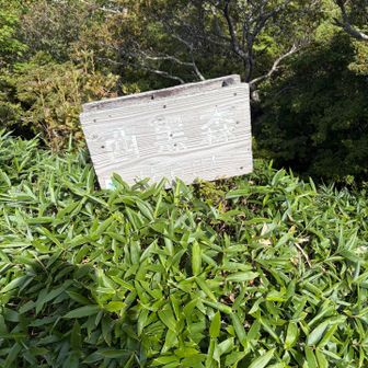 西黒森までの急登はきつかった！