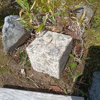 二等三角点、山名"越前甲山"、点名"大日山"1319.65m