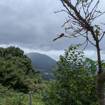 たぶん宝満山方面もうそろそろ行ってみたい山✨️