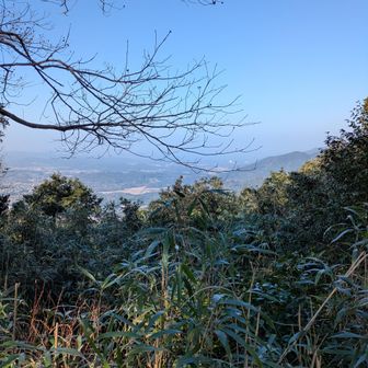 三郎丸登山口から城山へ。　
今日も晴れているが黄砂で水平線もはっきりしない。沖ノ島は見えない。