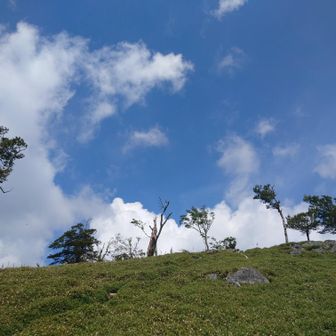 雲が良い