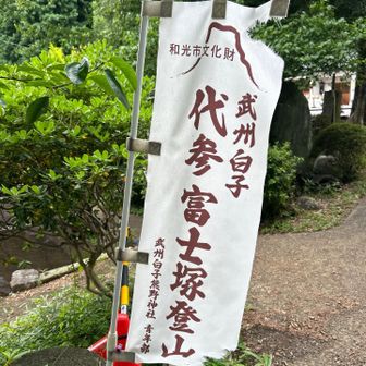 白子富士、和光市文化財とのこと。これだけ大切にされていると、富士塚も山頂ランドマークになるのだろうか…？