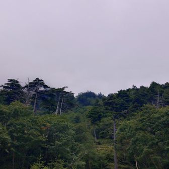 金精山は見えなくなっていました