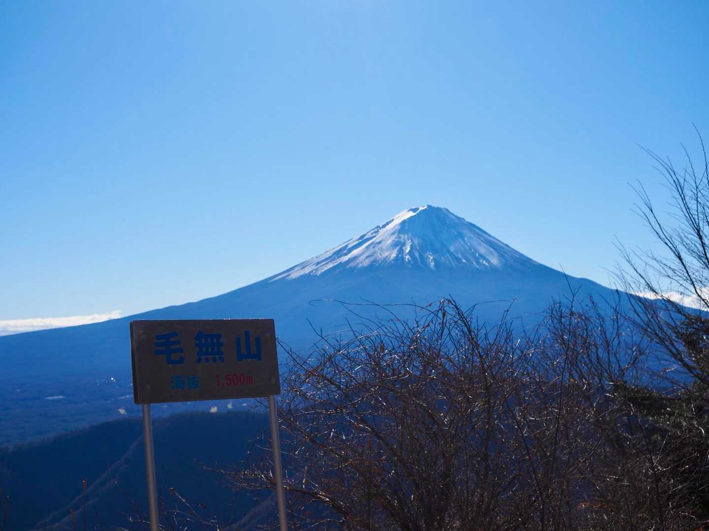 とうちゃーく！