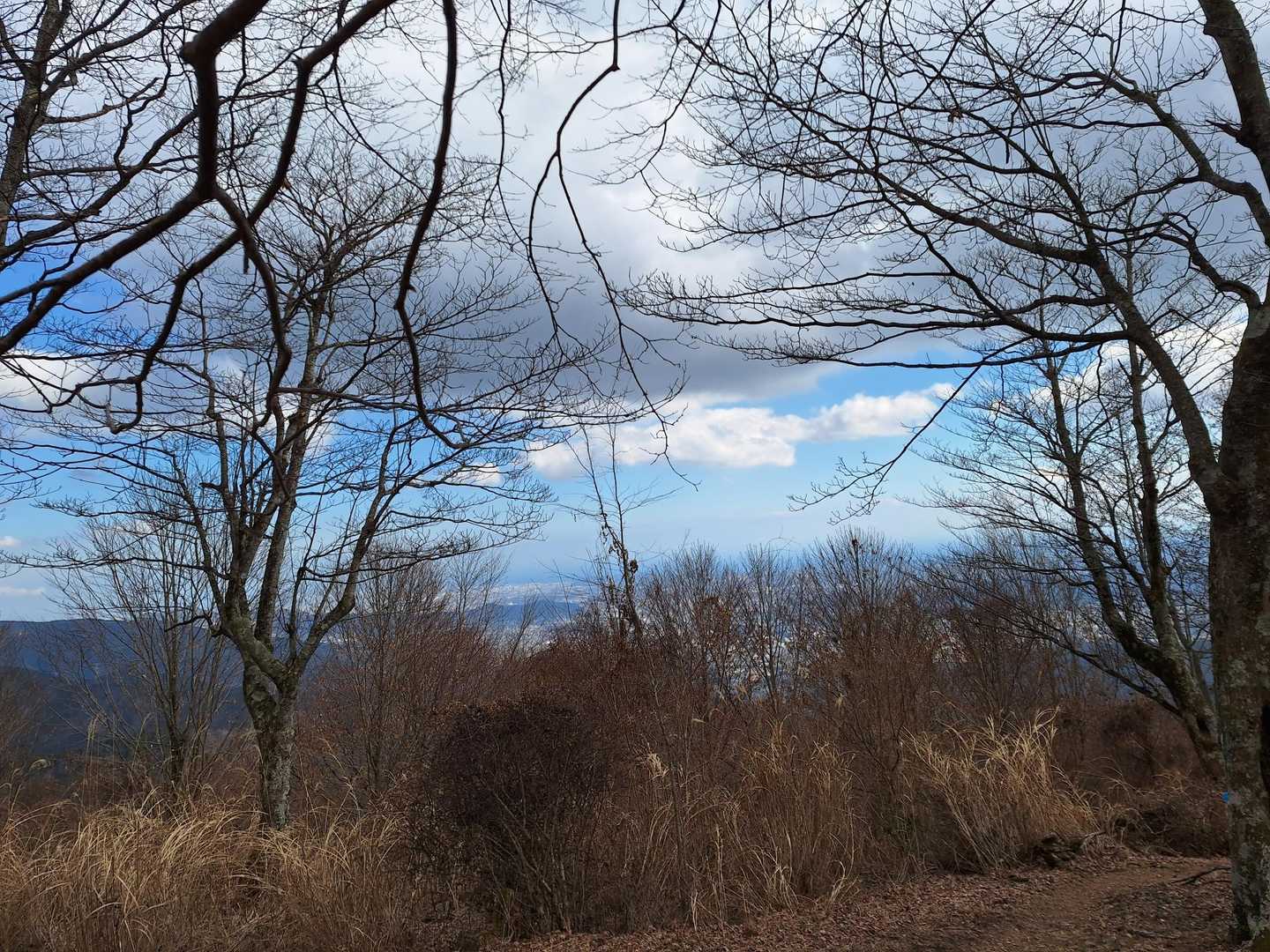遠くに海が見えました😅