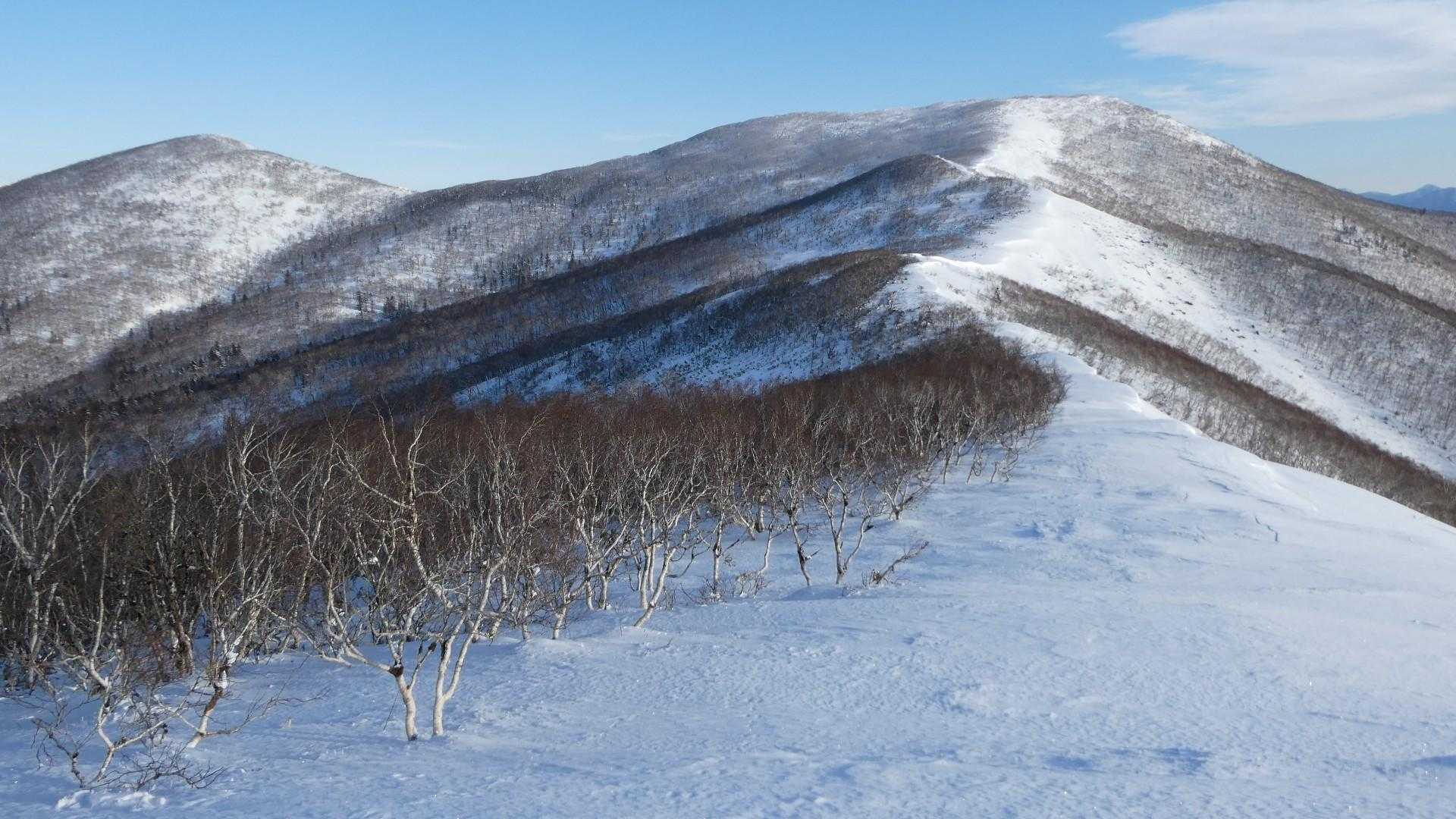 桜山を越えて佐幌岳へ