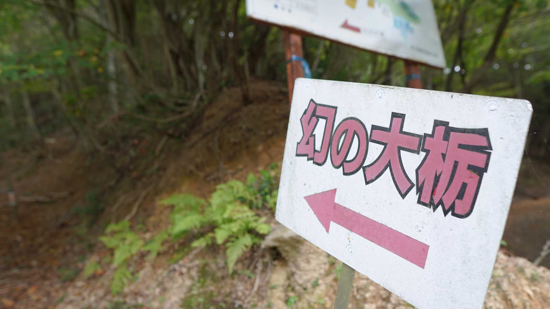 いよいよ樹齢2000年の幻の大トチを見に行きます。