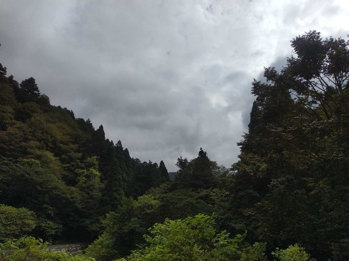 けやき峠 往復コースの写真