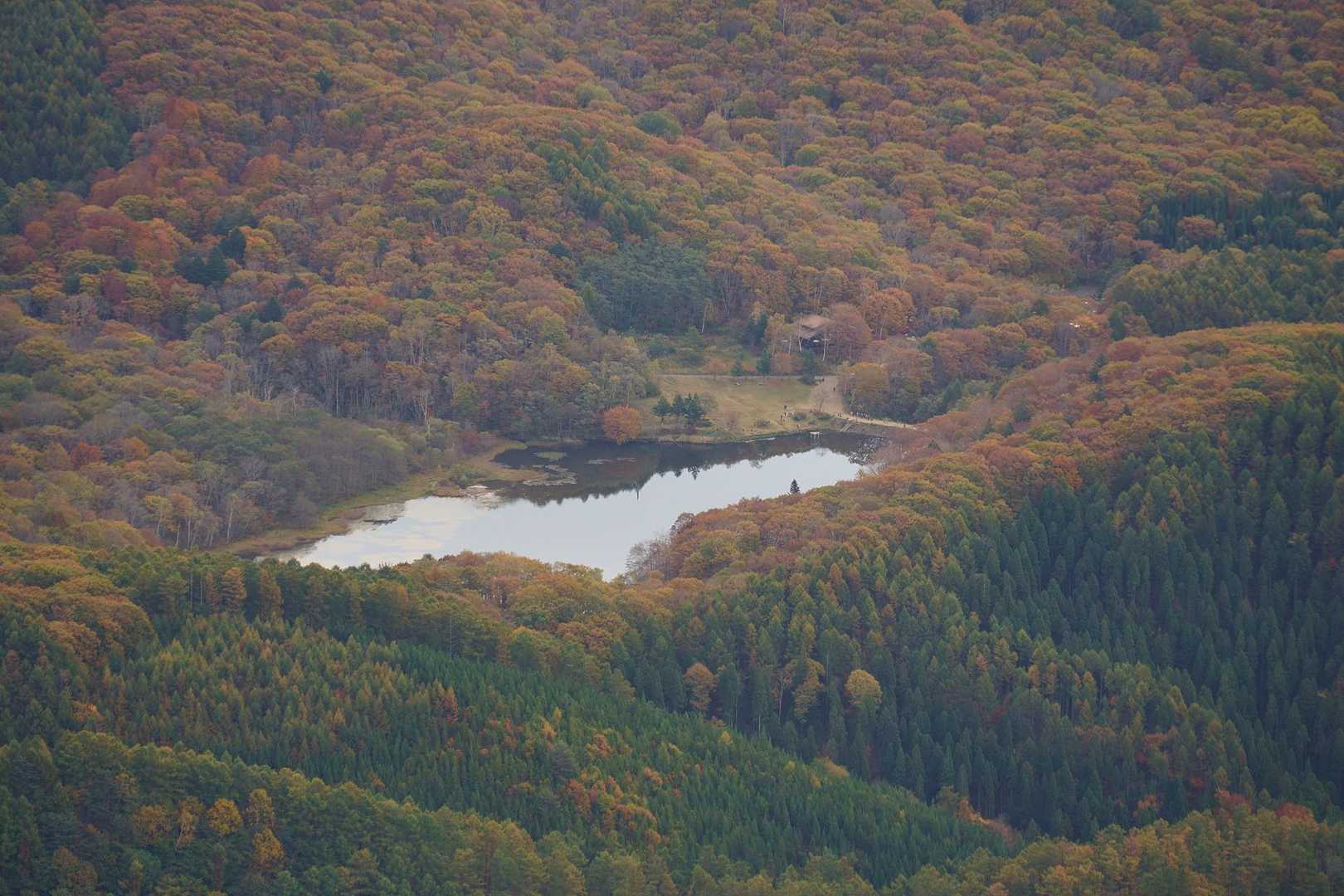鏡池zoom
