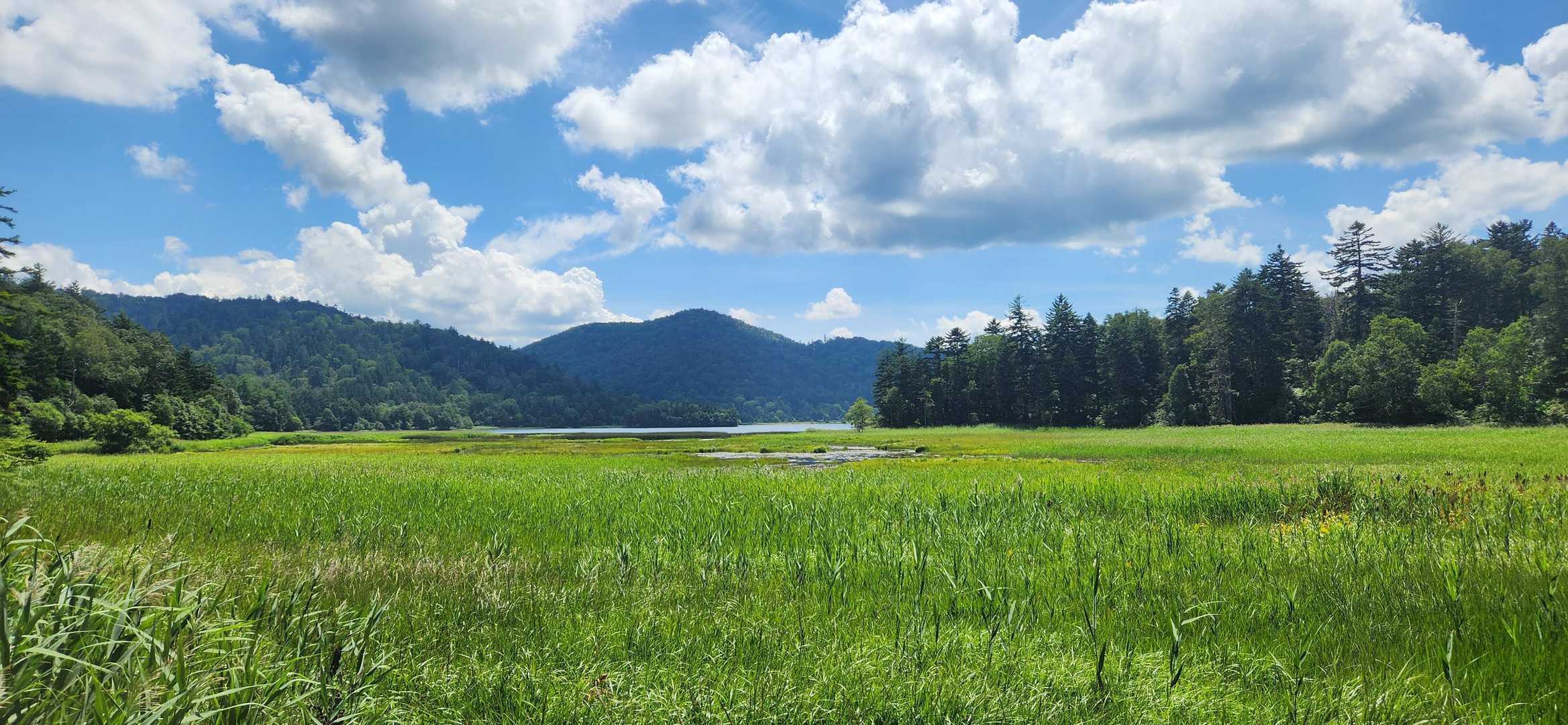 御池登山口-燧ヶ岳-尾瀬沼-沼山峠 縦走コースの写真