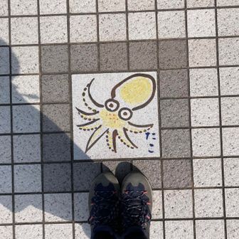 下津井のタコ🐙